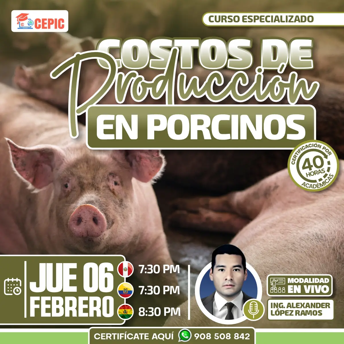Costos de Producción en Porcinos