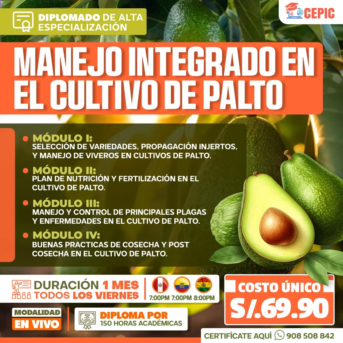 Manejo Integrado en el Cultivo de Palto