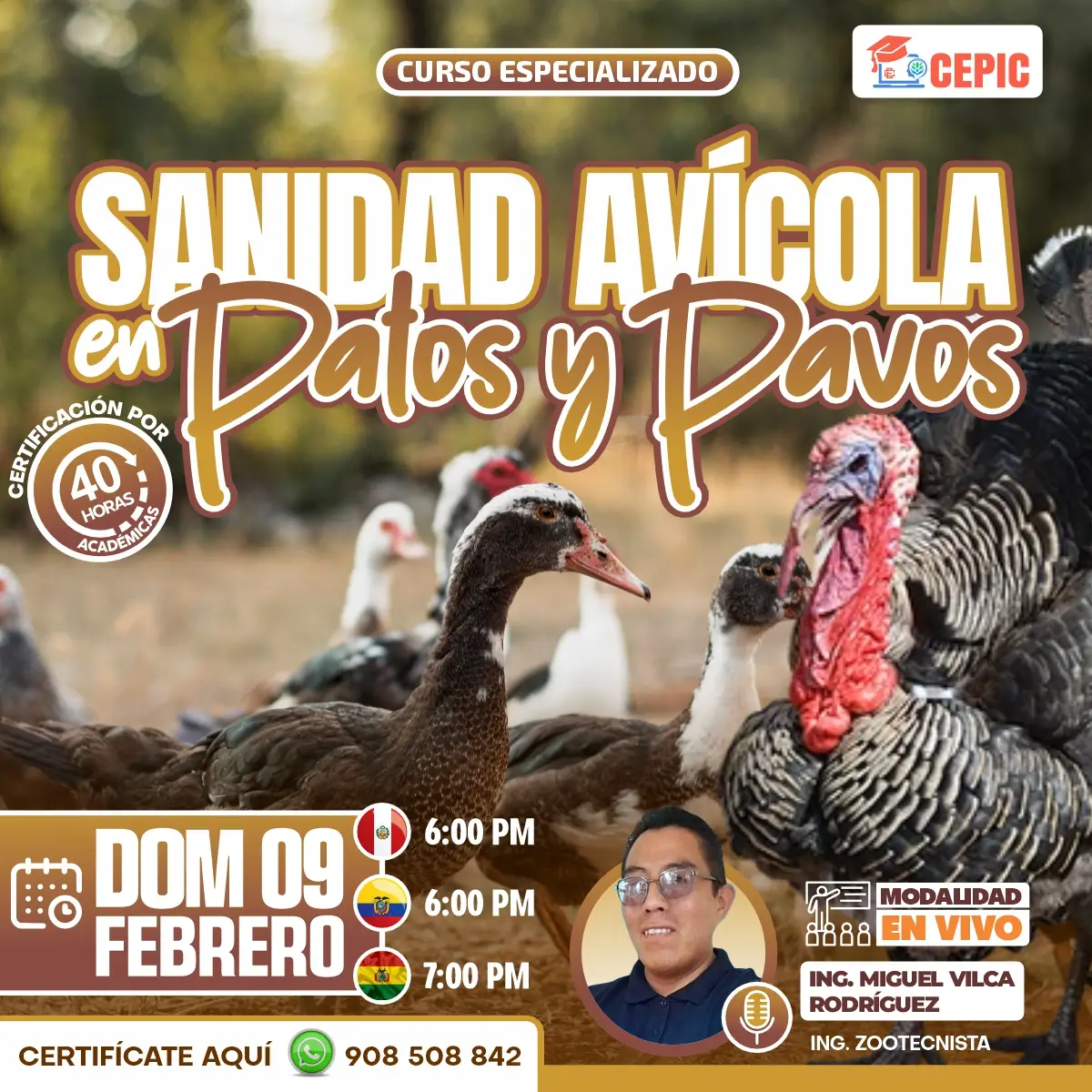 Sanidad Avícola en Patos y Pavos