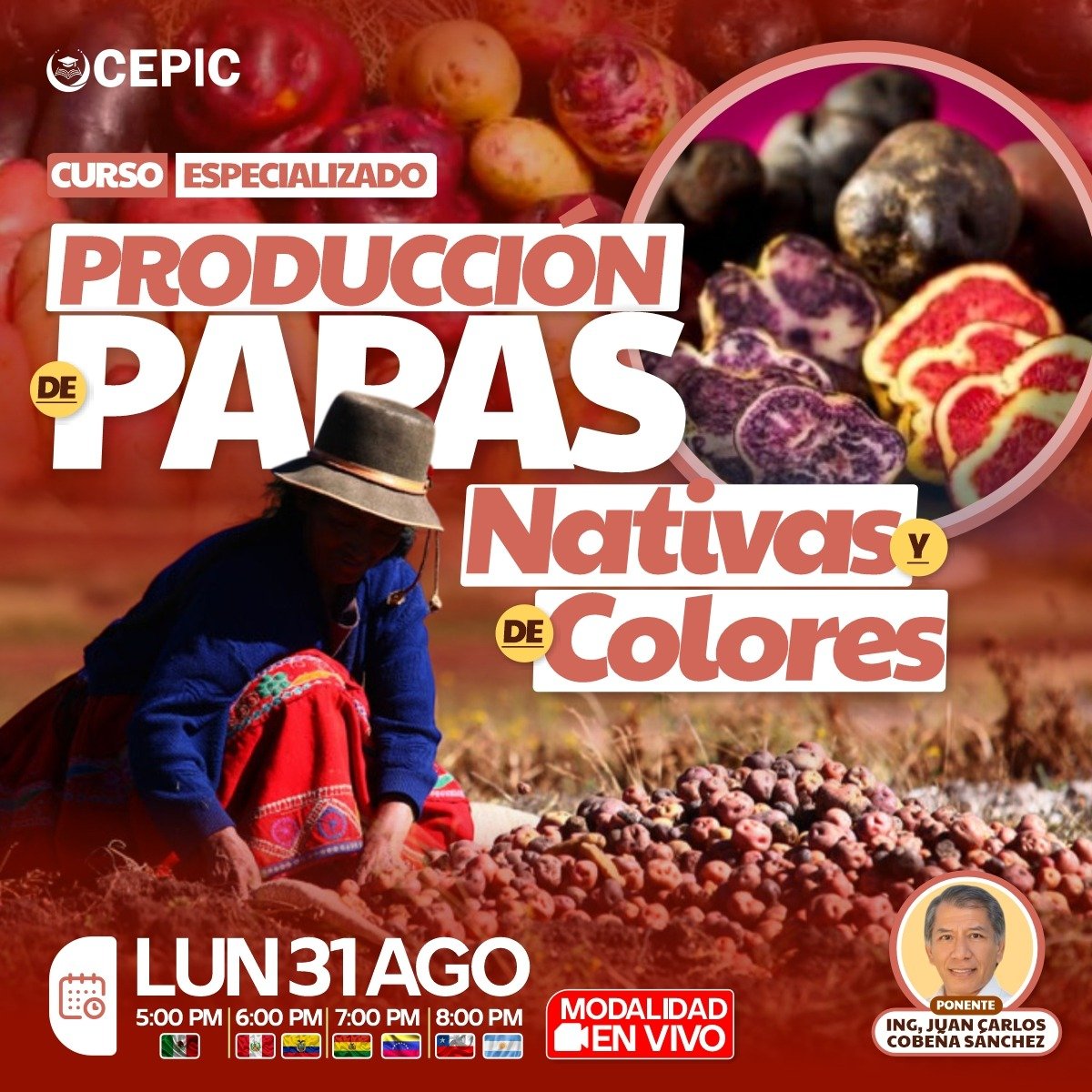 Producción de Papas Nativas y de Colores