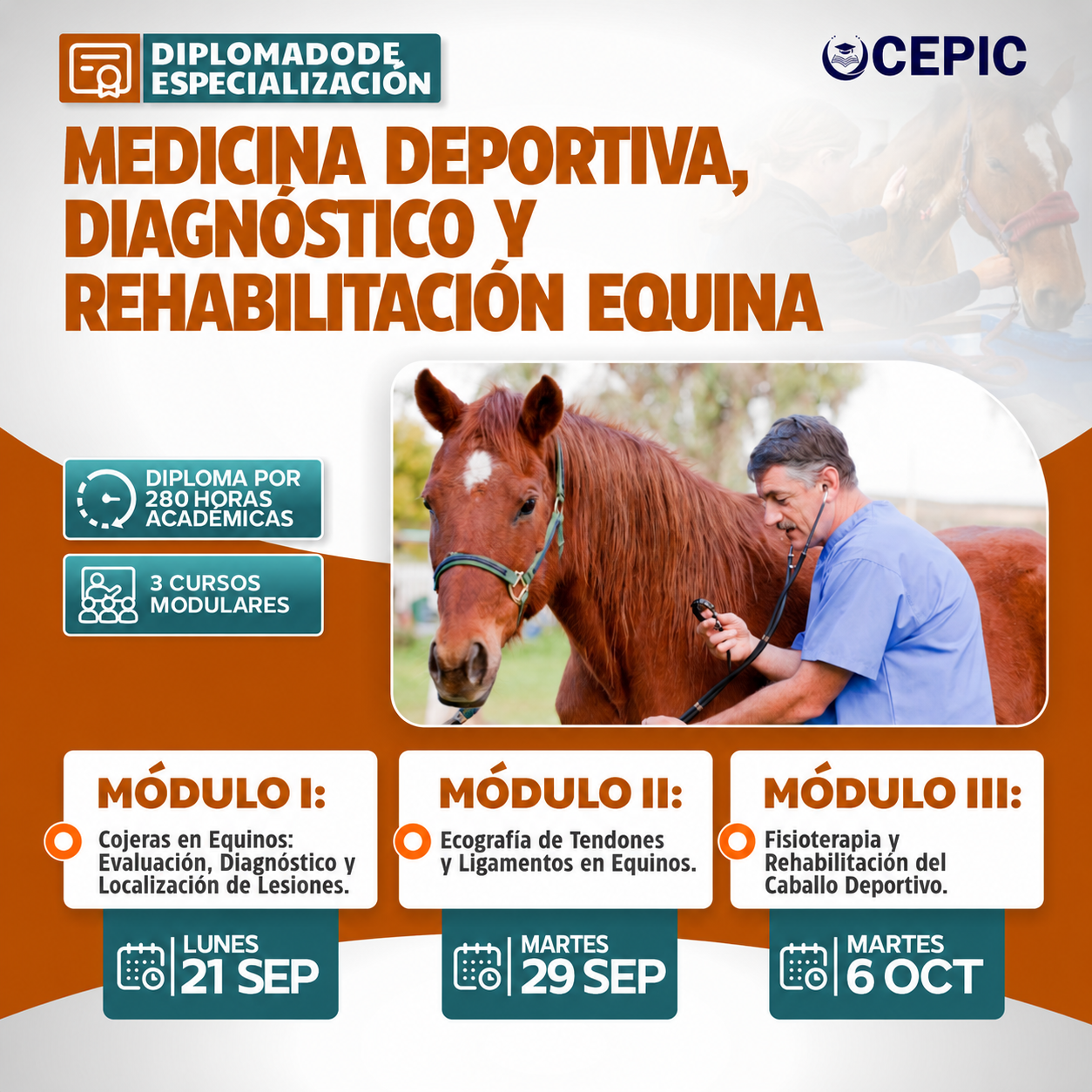 Medicina Deportiva, Diagnóstico y Rehabilitación Equina