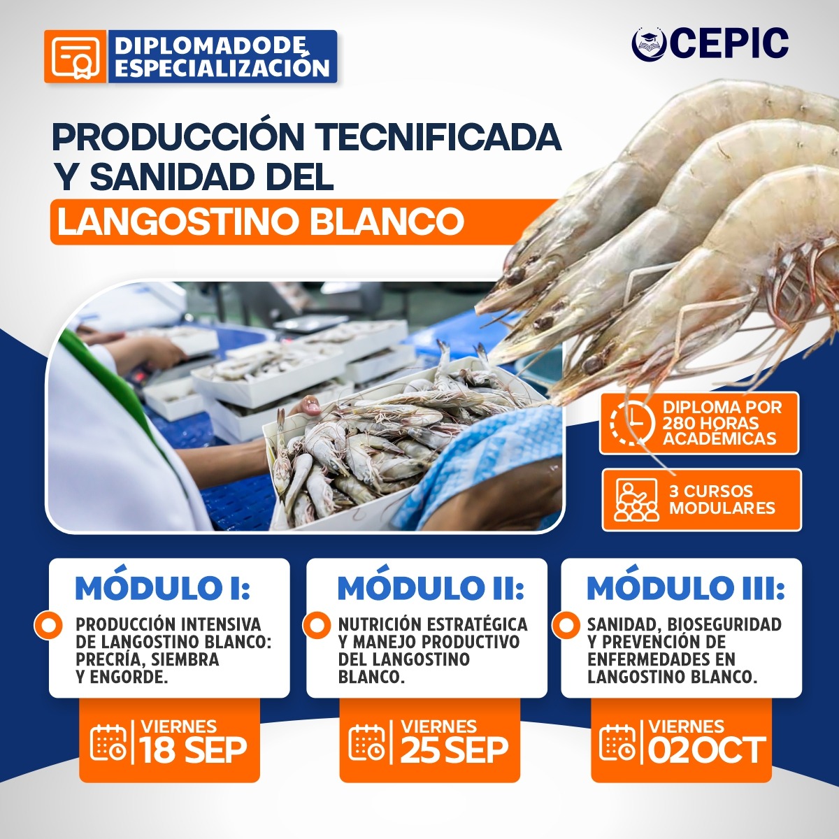 Producción Tecnificada y Sanidad del Langostino Blanco