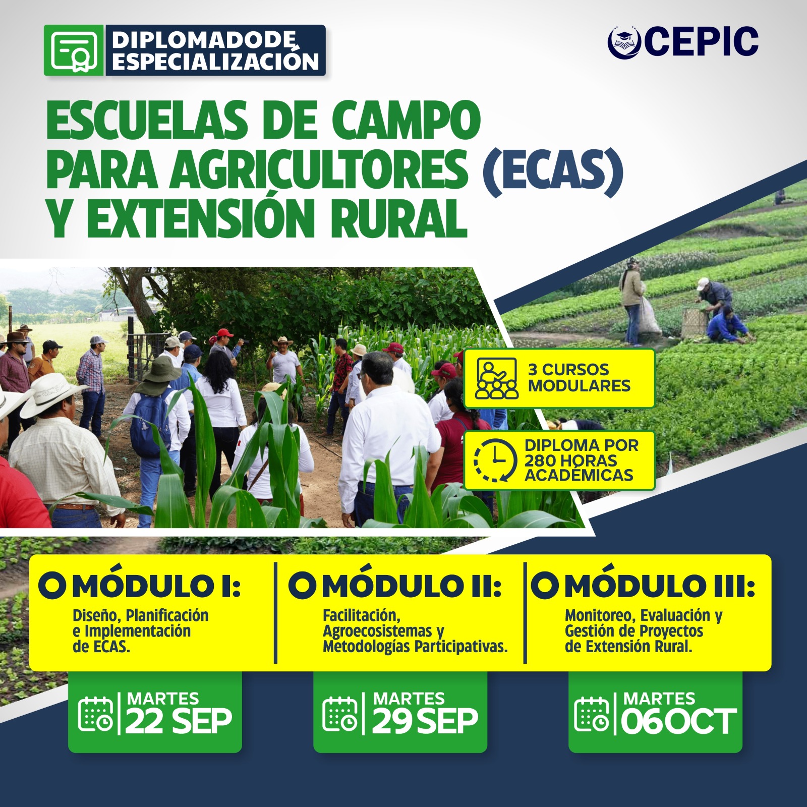 Escuelas de Campo para Agricultores (ECAS) y Extensión Rural