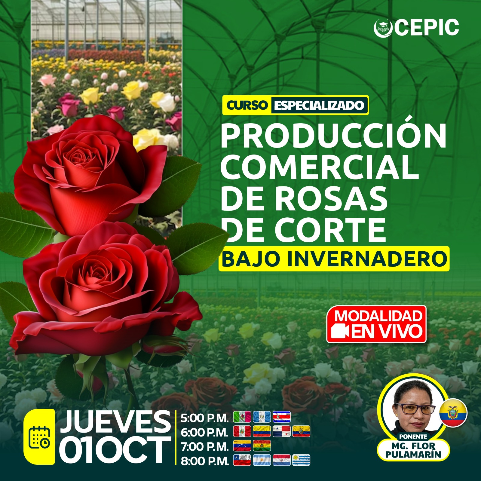 Producción Comercial de Rosas de Corte Bajo Invernadero