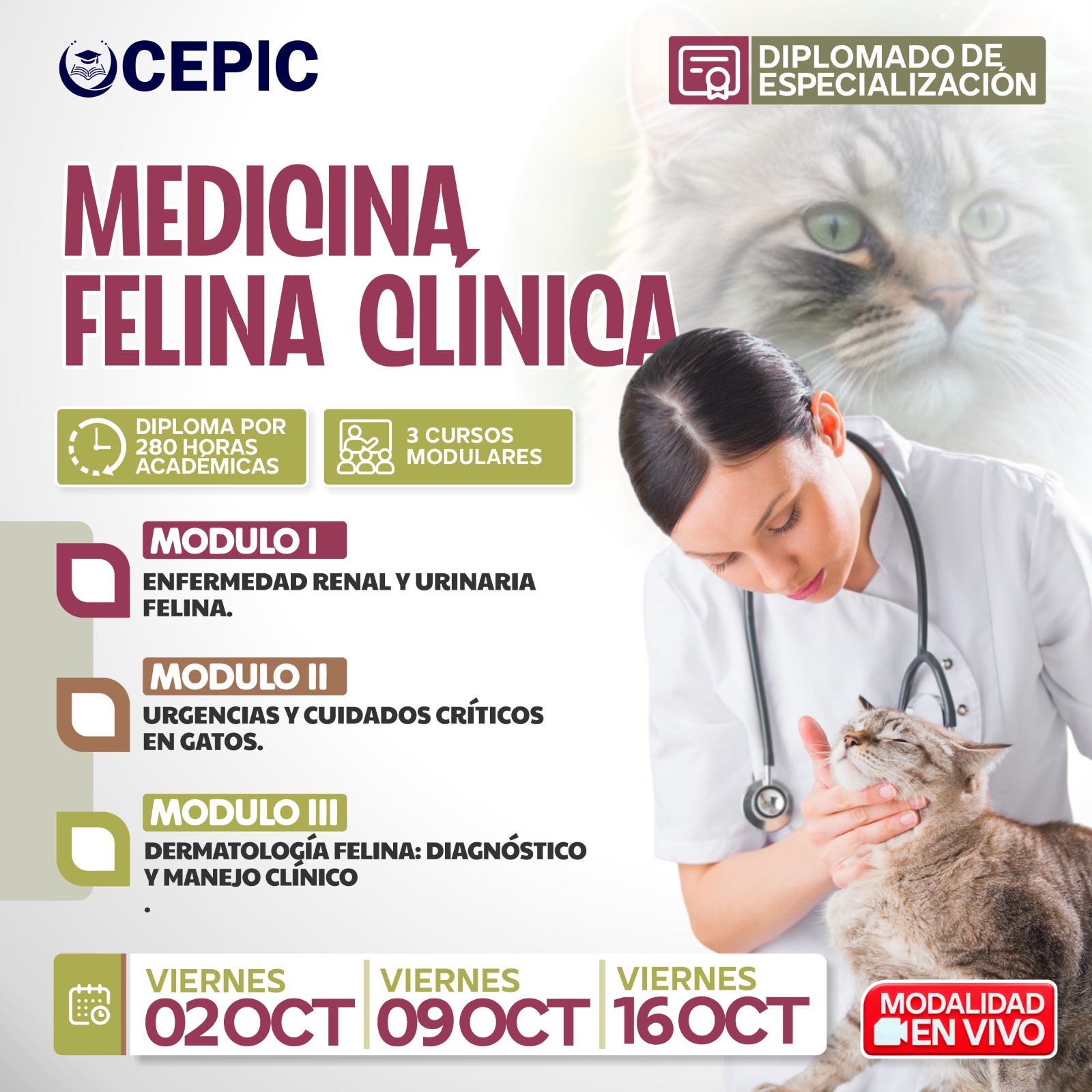 Medicina Felina Clínica