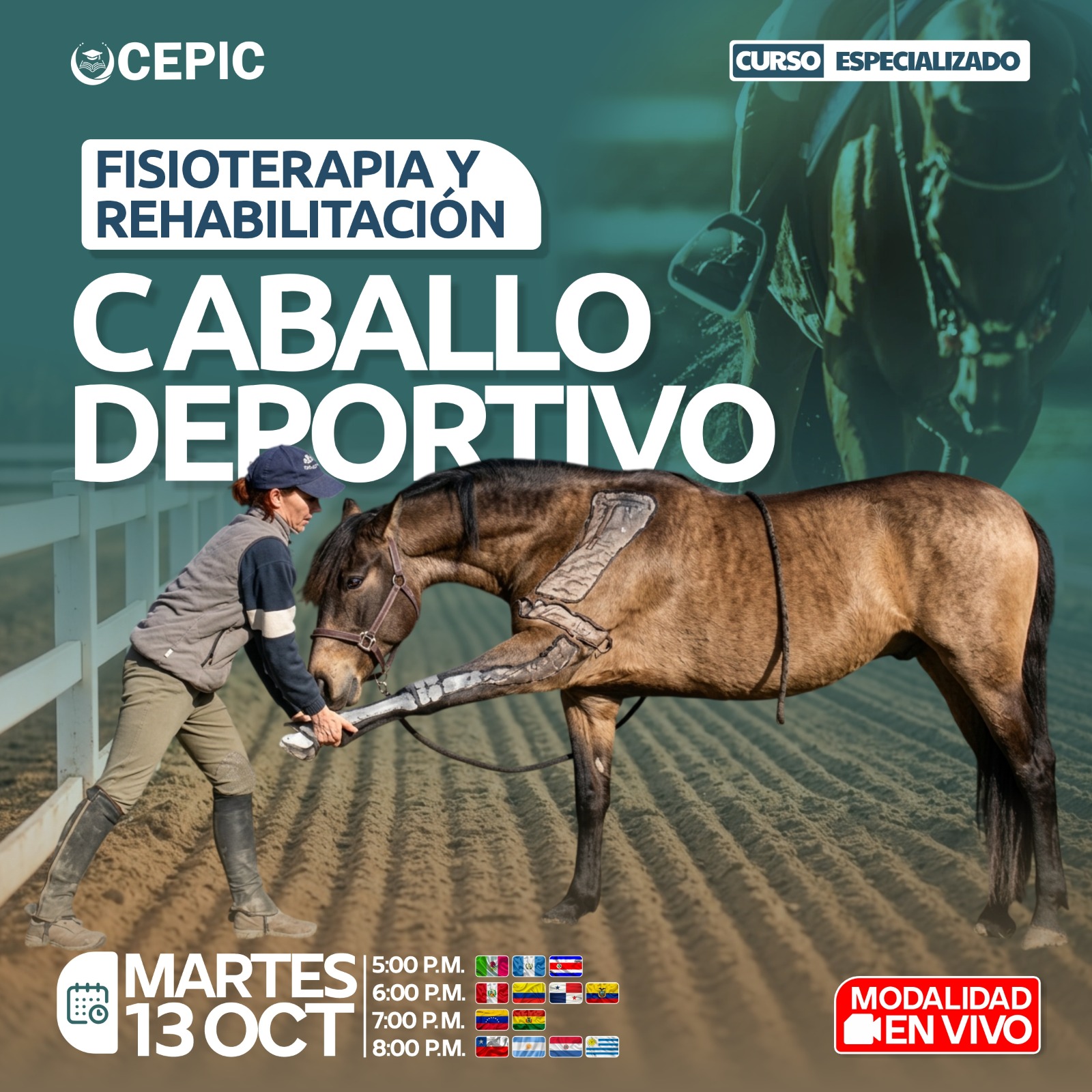 Fisioterapia y Rehabilitación del Caballo Deportivo