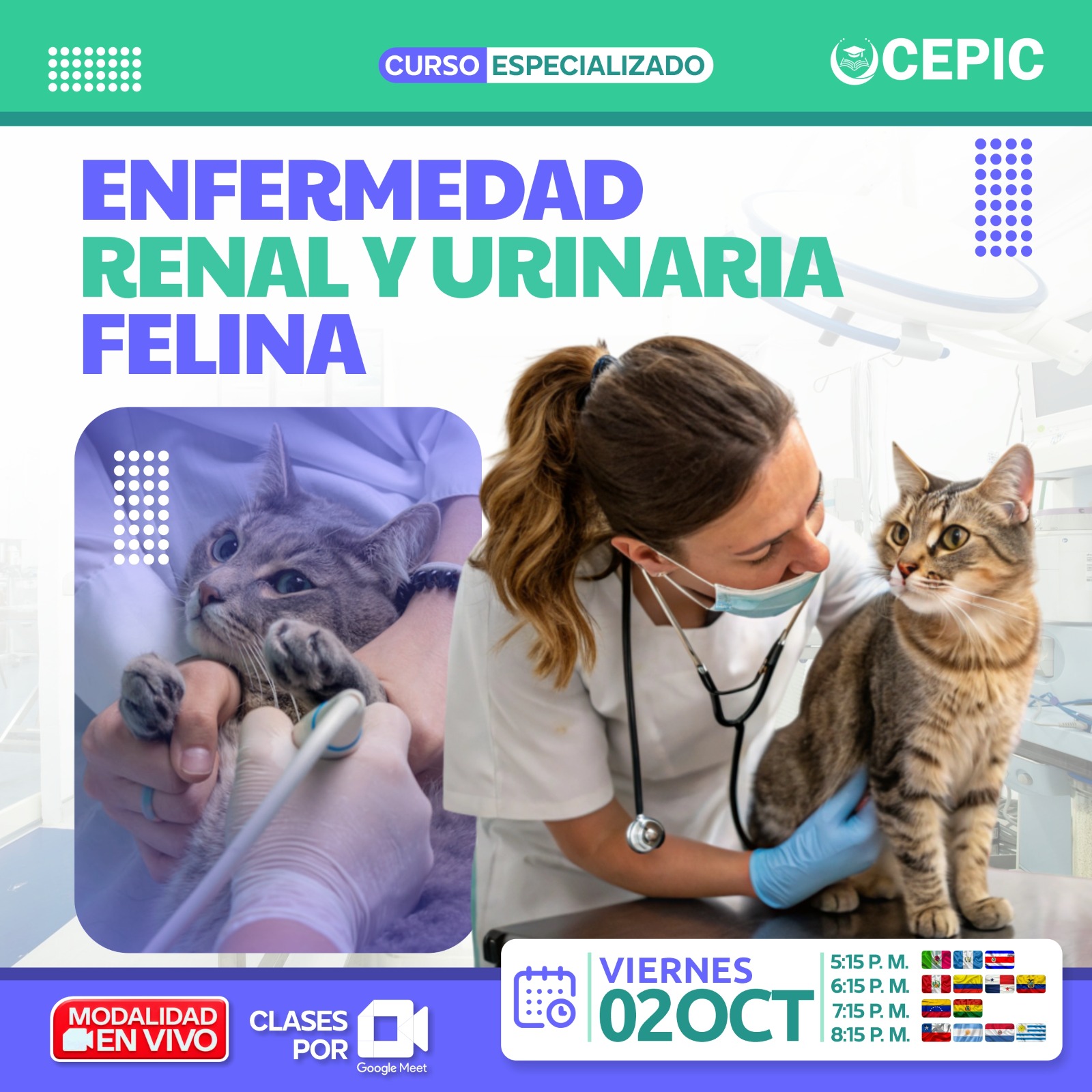 Enfermedad Renal y Urinaria Felina