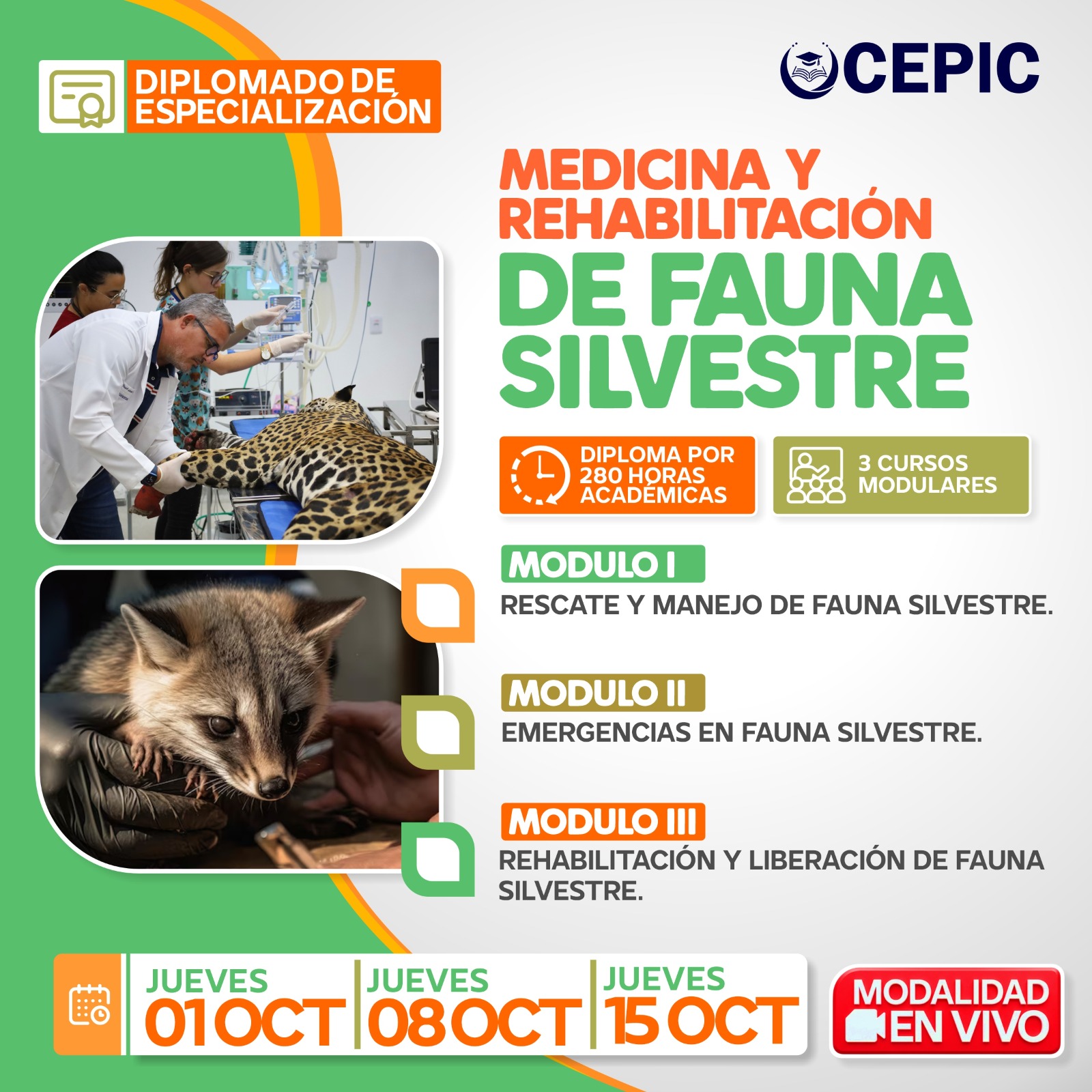 Medicina y Rehabilitación de Fauna Silvestre