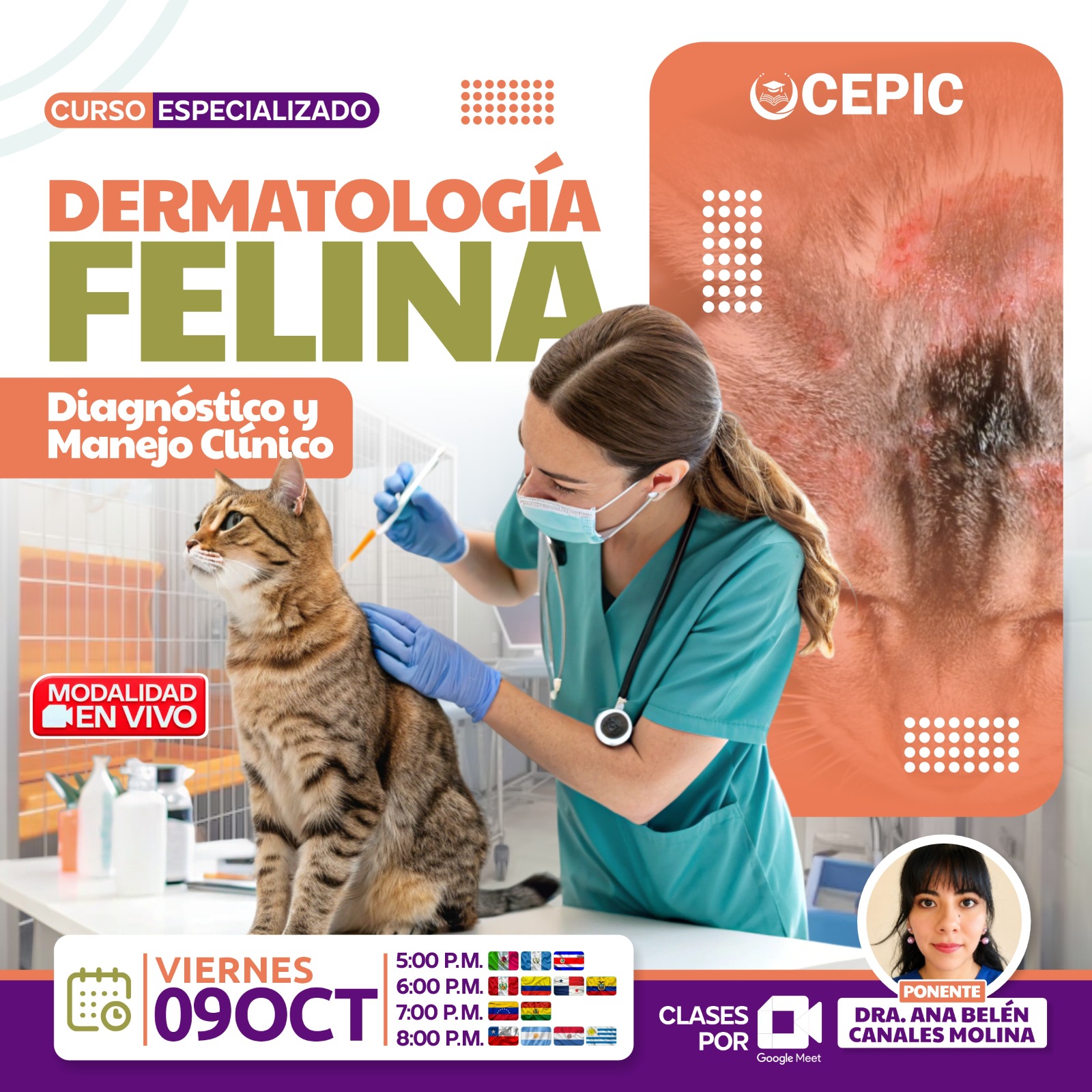 Dermatología Felina: Diagnóstico y Manejo Clínico