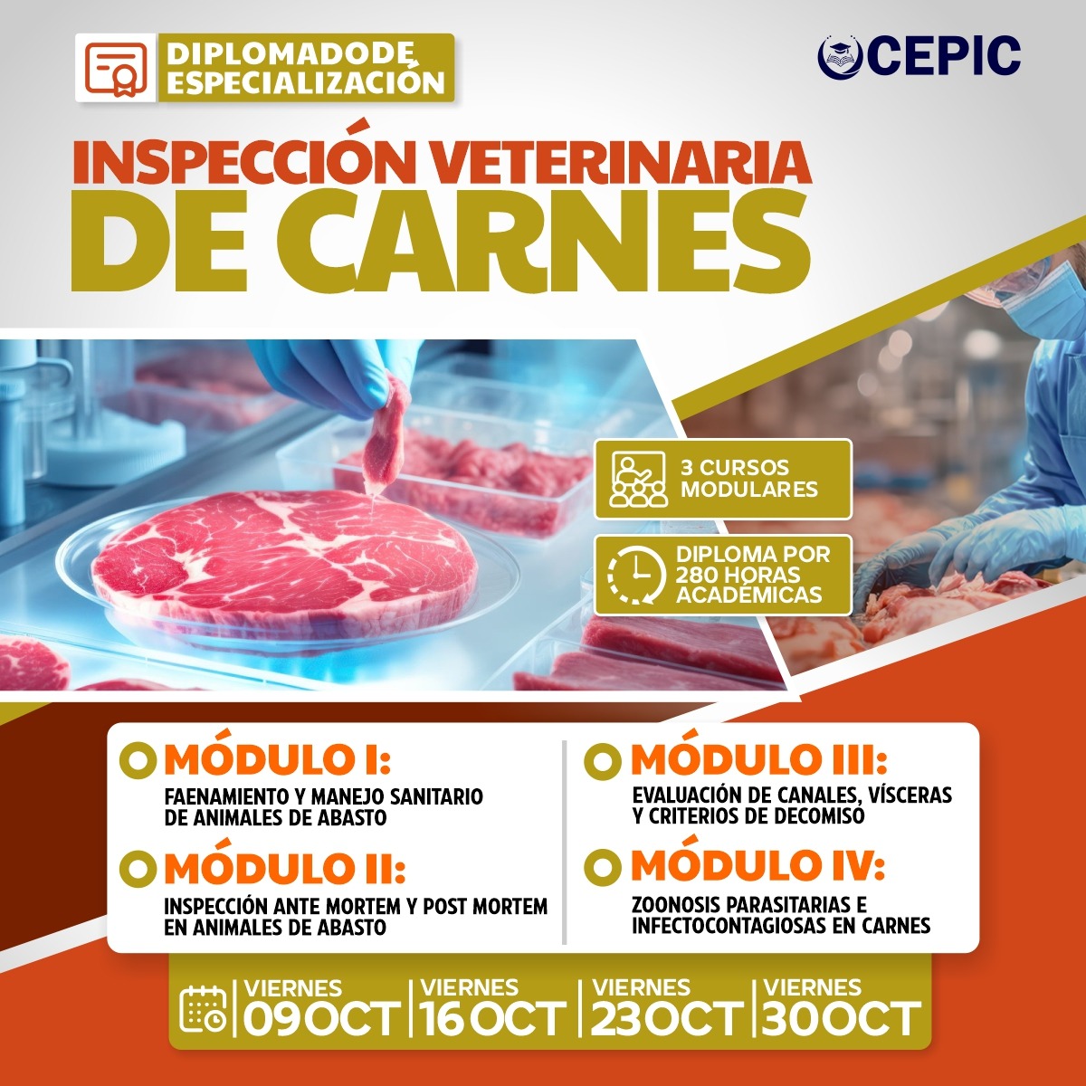 Inspección Veterinaria de Carnes
