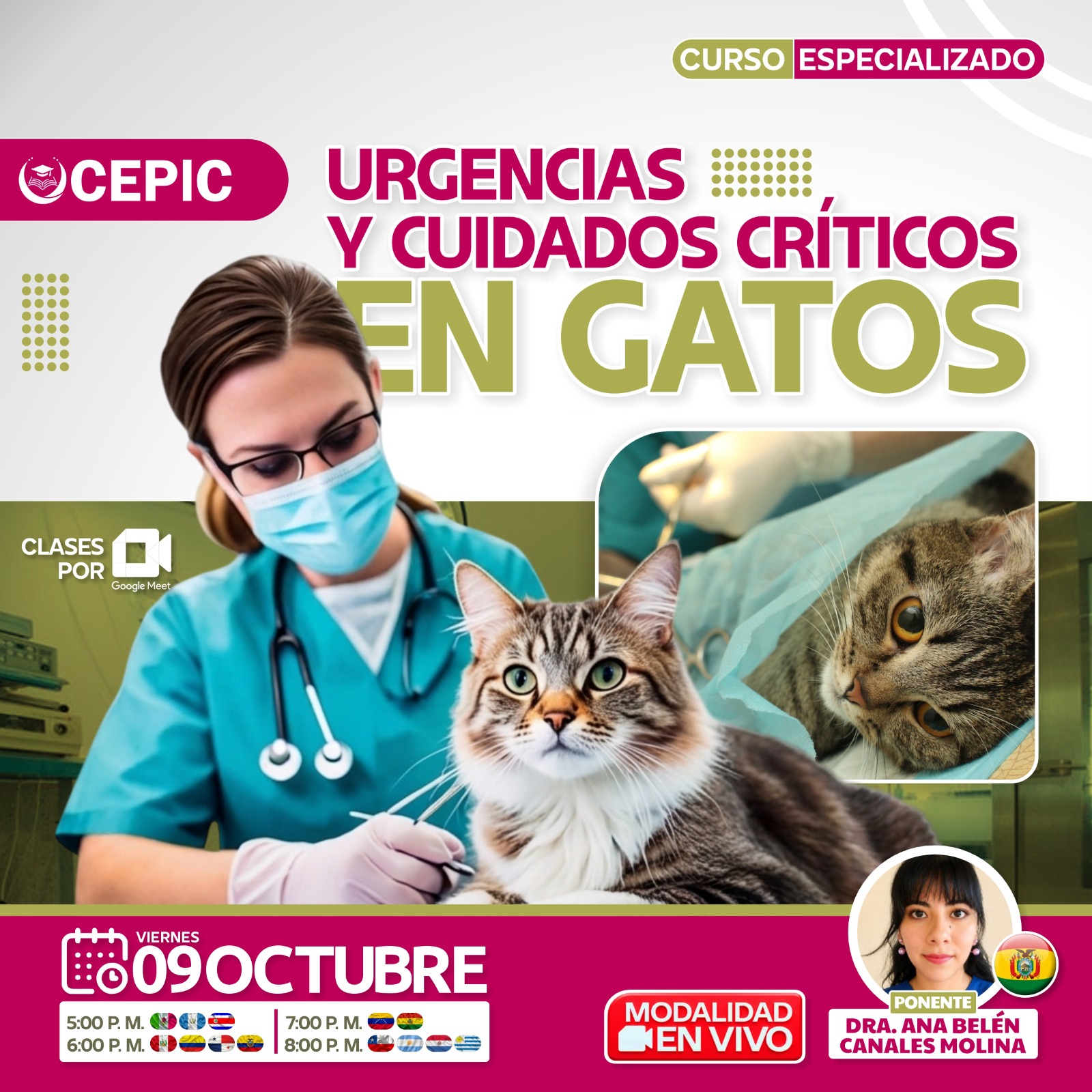 Urgencias y Cuidados Críticos en Gatos