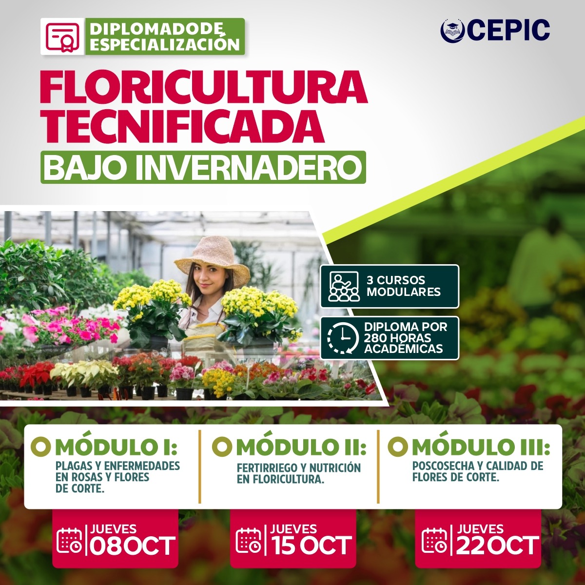 Floricultura Tecnificada Bajo Invernadero