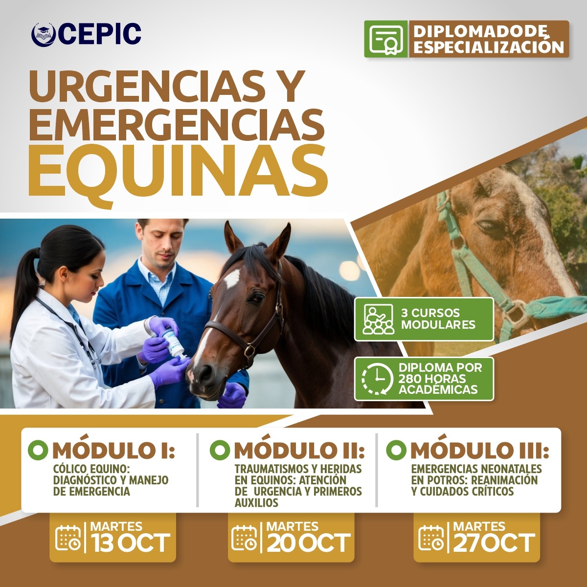 Urgencias y Emergencias Equinas