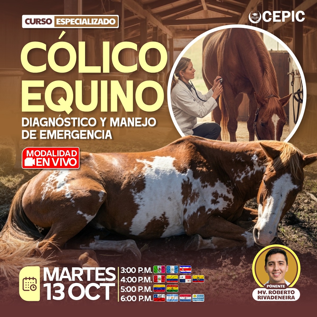 Cólico Equino: Diagnóstico y Manejo de Emergencia