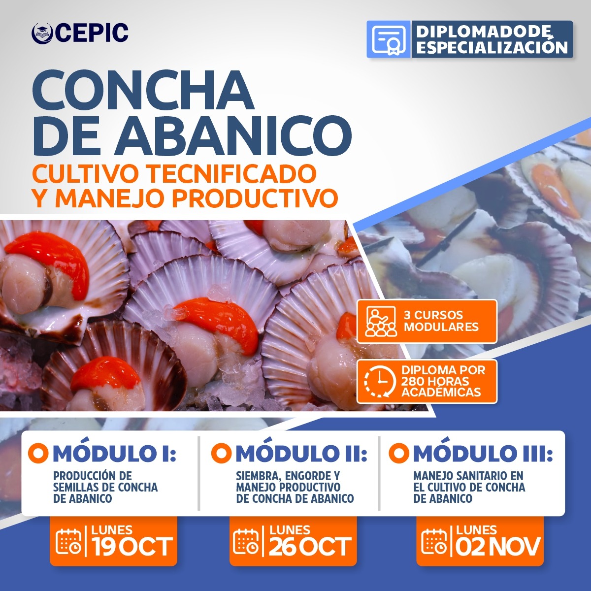 Concha de Abanico: Cultivo Tecnificado y Manejo Productivo