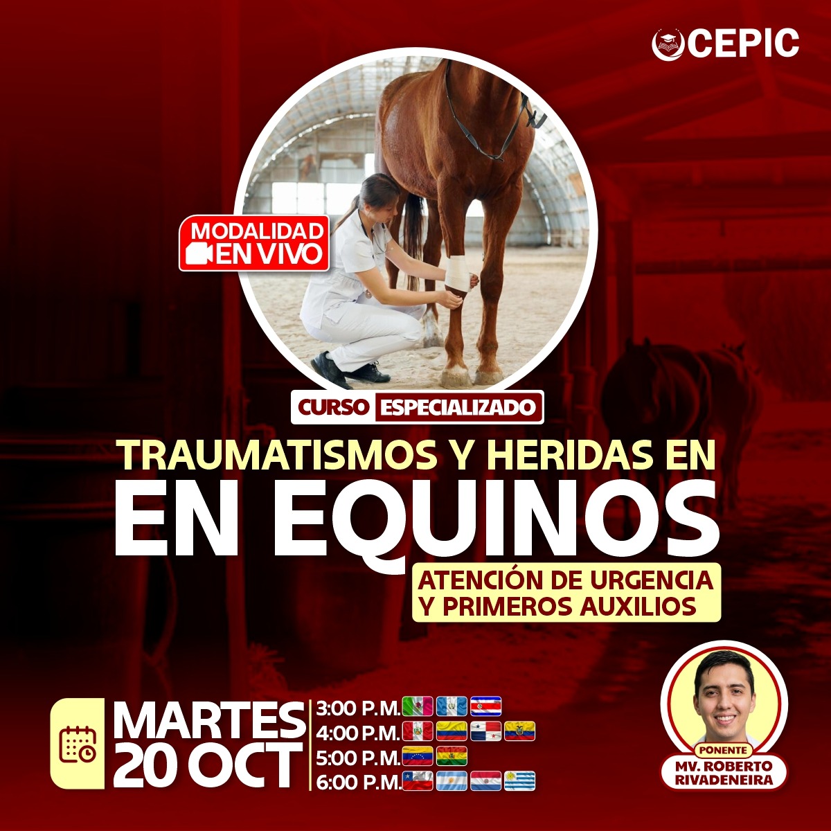 Traumatismos y Heridas en Equinos: Atención de Urgencia y Primeros Auxilios