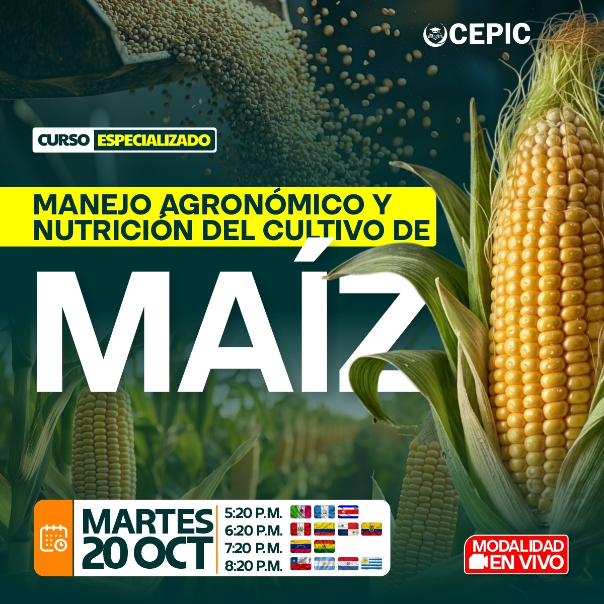 Manejo Agronómico y Nutrición del Cultivo de Maíz