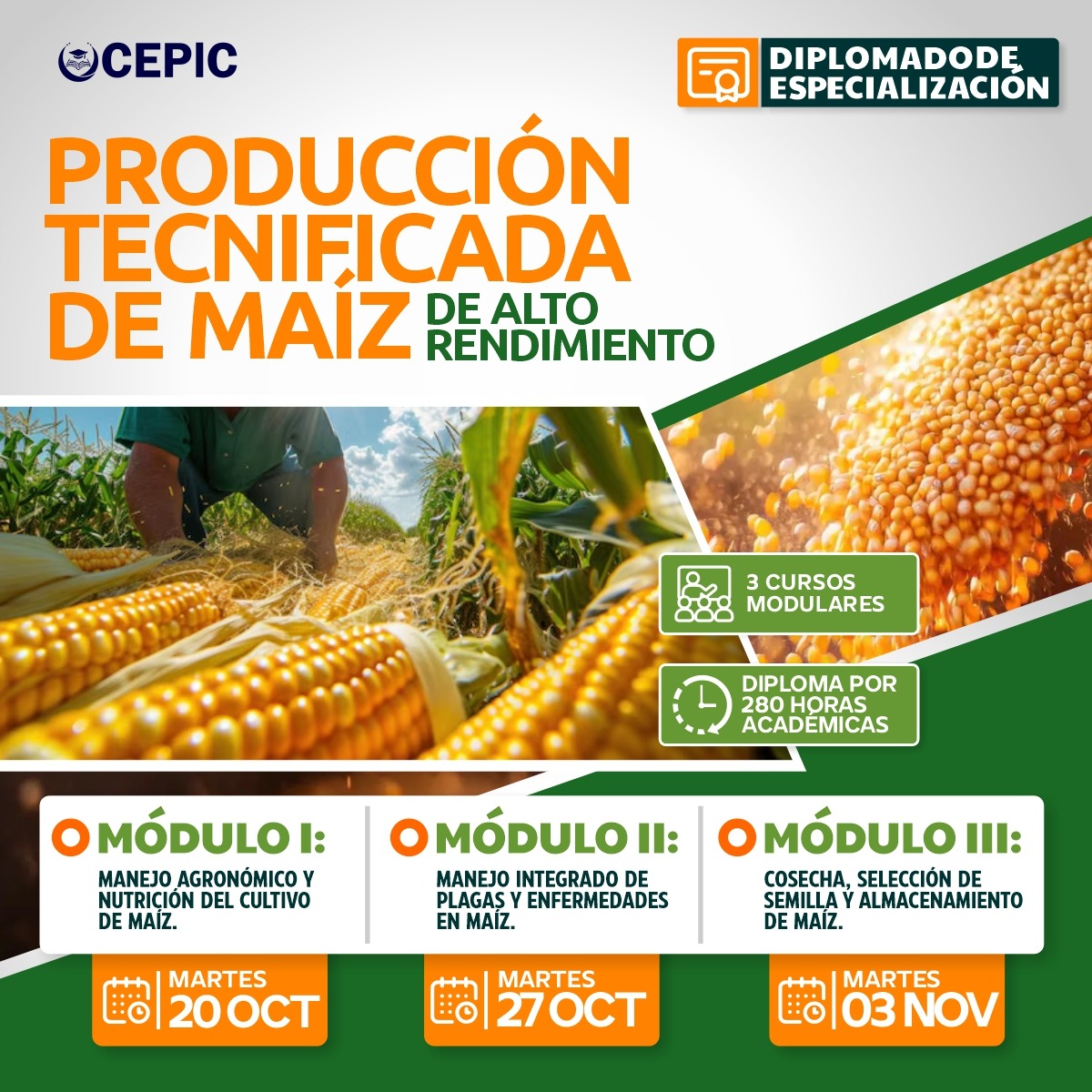 Producción Tecnificada de Maíz de Alto Rendimiento