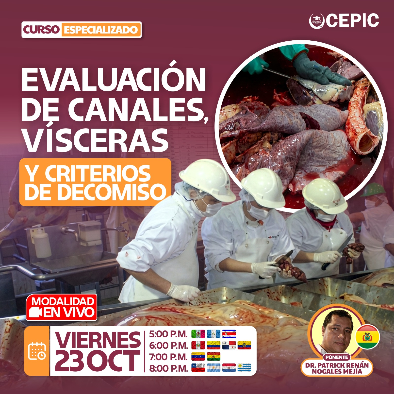 Evaluación de Canales, Vísceras y Criterios de Decomiso
