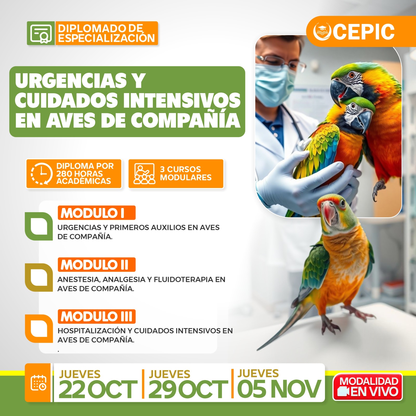 Urgencias y Cuidados Intensivos en Aves de Compañía