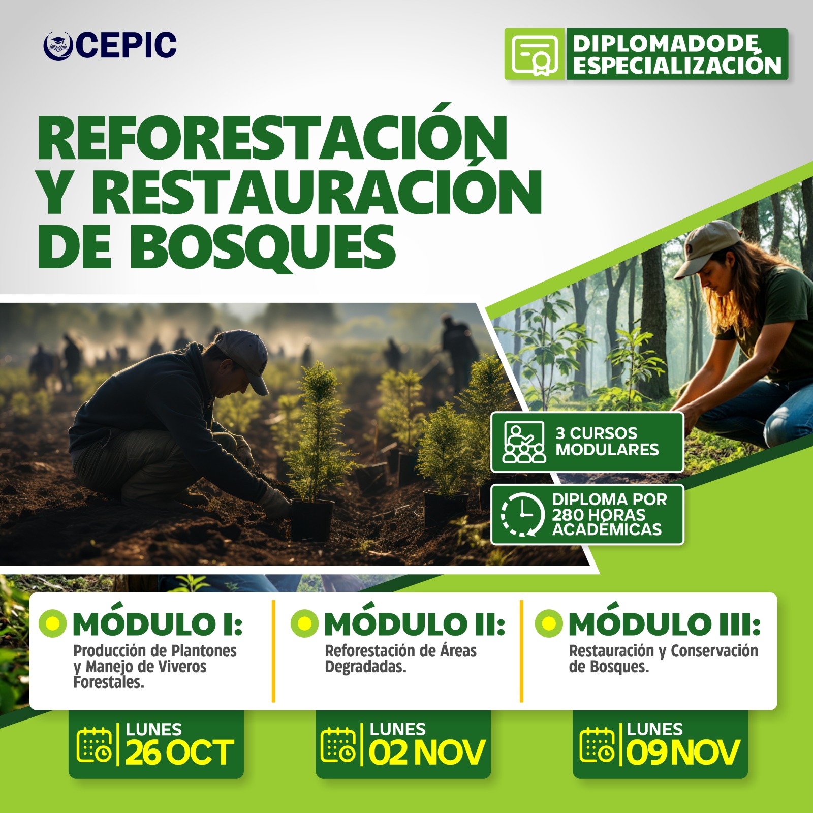 Reforestación y Restauración de Bosques