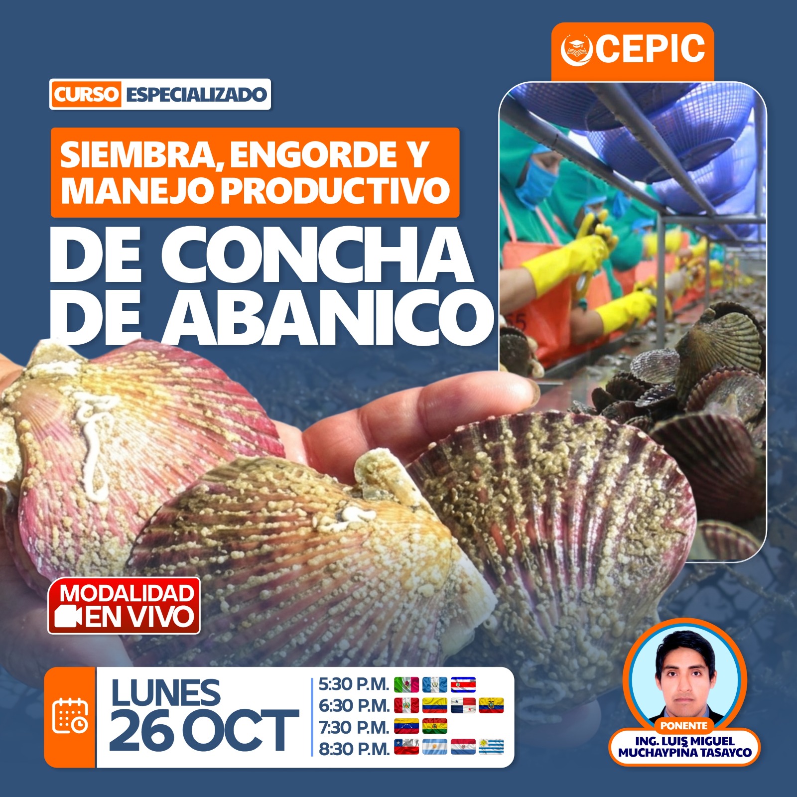 Siembra, Engorde y Manejo Productivo de Concha de Abanico